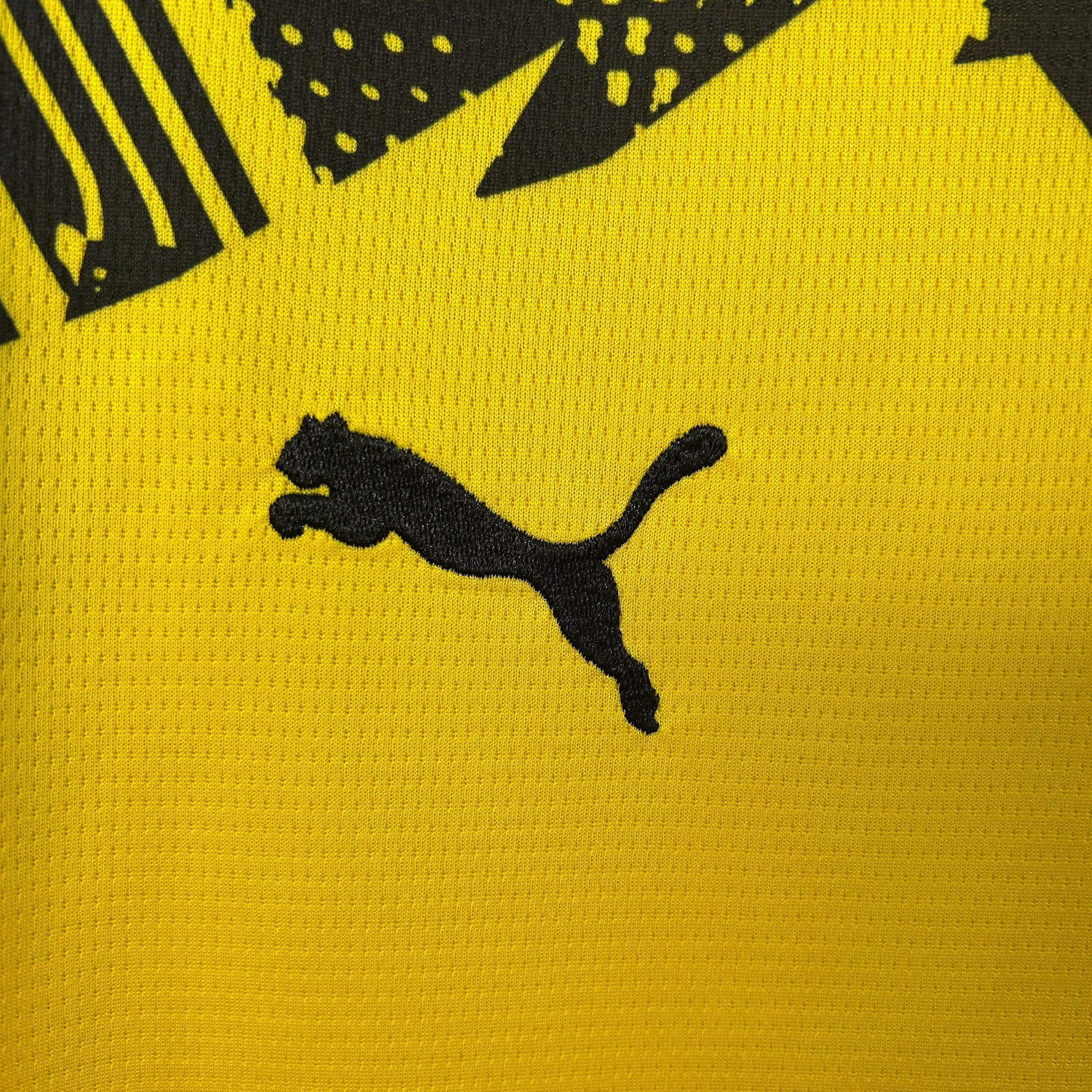 FC BORUSSIA DORTMUND | 25/26