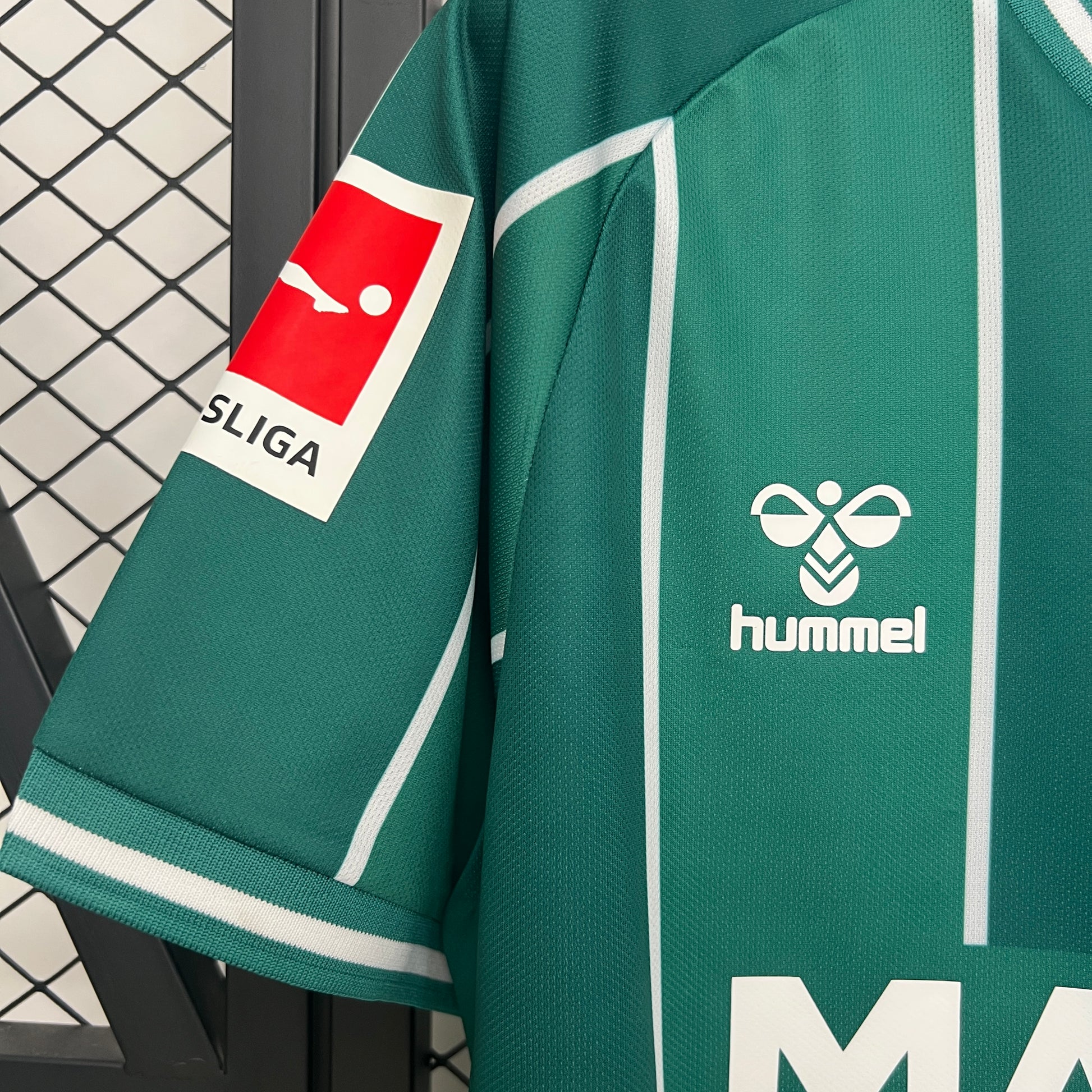 WERDER BRÊME DOMICILE | 25/26